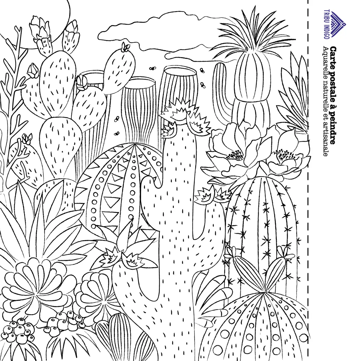 Carte de vœux DIY à peindre Cactus – Image 2