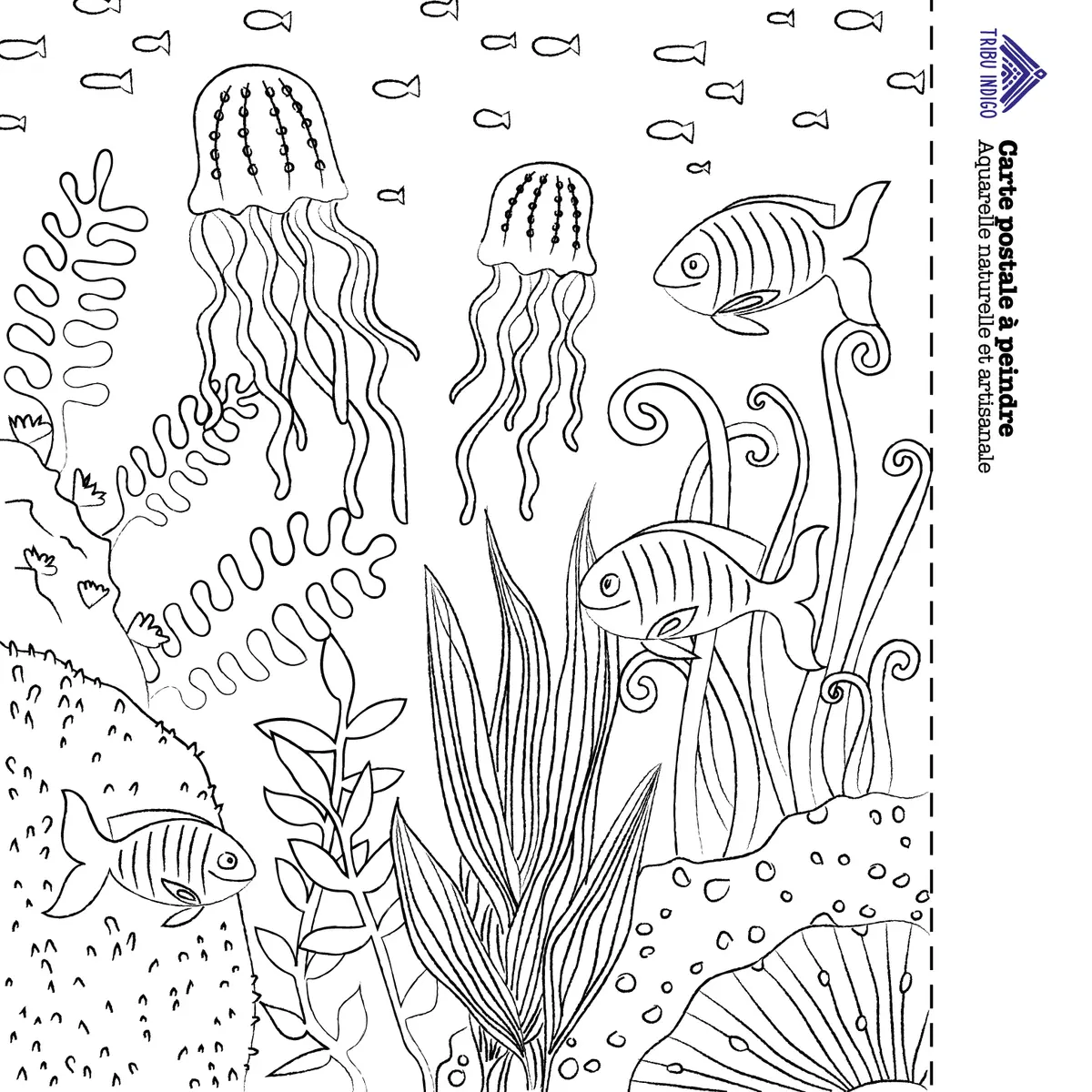 Carte de vœux DIY à peindre Fonds marins – Image 2